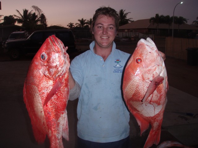 red & a saddletail