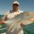 Golden Trevally