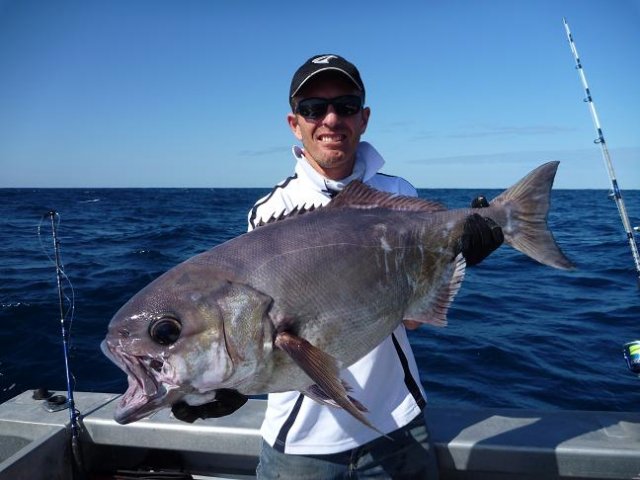 blue eye trevalla