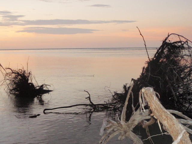 Mouth of Goose Creek Melville Island NT