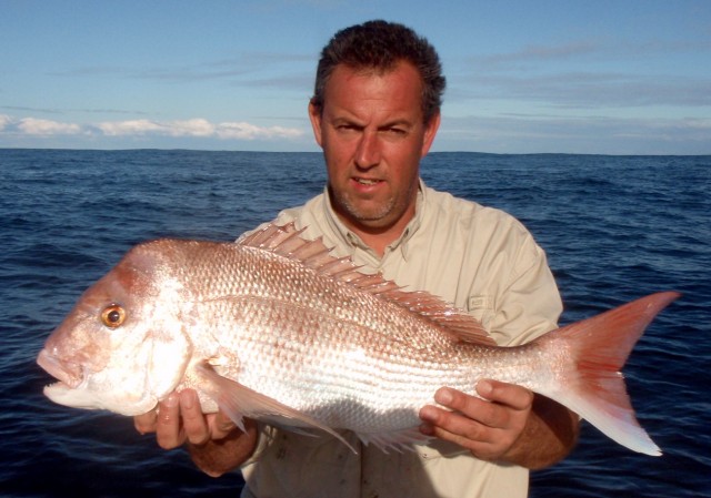 Johnny's Snapper 