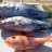 Sunday's fishing