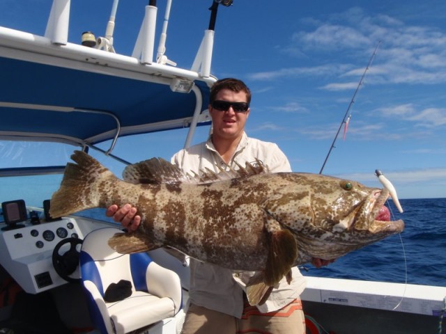 big cod