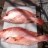 Quick morning fish off Groote!