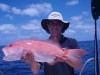 Andy's Coral Trout