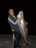 20kg mulloway off woodmans point jetty