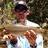 Brown trout