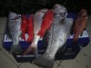 Mixed bag from Dunsborough on Wednsday