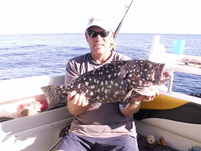 my first rankin