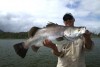 just adding some of the better 09 barra season captures