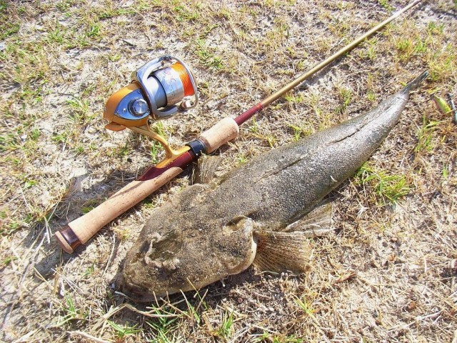 boxing day flatty