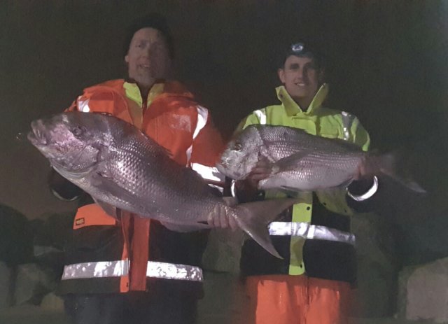 North mole pink snapper