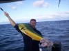 Damien Bolton's Dolphinfish