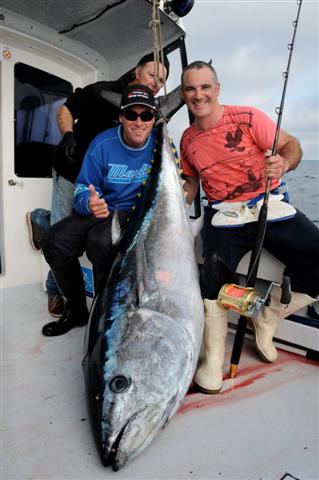 Southern Bluefin Tuna, angler: Matt Cini