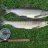 First Rainbow Trout on Fly... now Pink Salmon... .