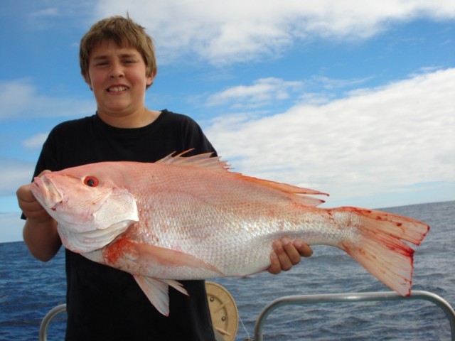 Sea Perch - But what type??