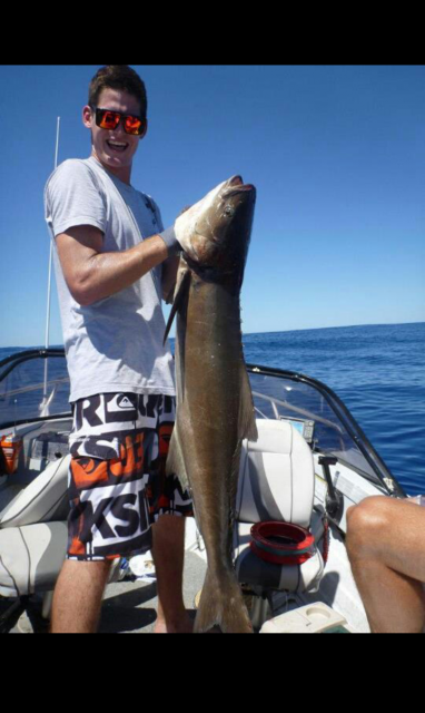 Stomping Cobia