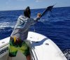 marlin on board with Peak Sportsfishing 