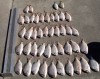 Confiscated snapper haul