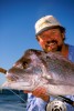 Another Abrolhos Pink Snapper on Fly