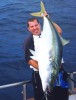 Seansurfy's Kingfish