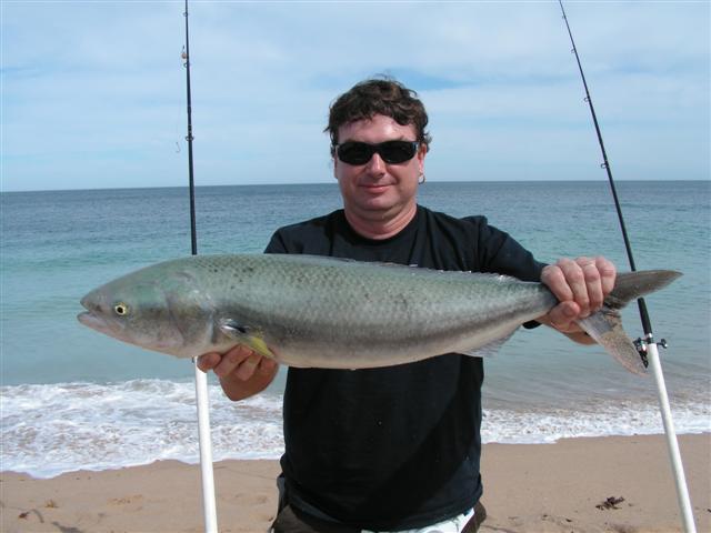 Salmon from Tims Thicket  Fishing -  - Fishing WA. Fishing  Photos & Videos
