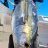 tuna