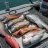 The days catch