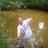 Big Garfish