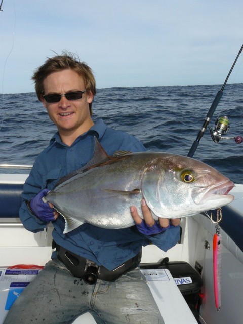 Derwent amberjack