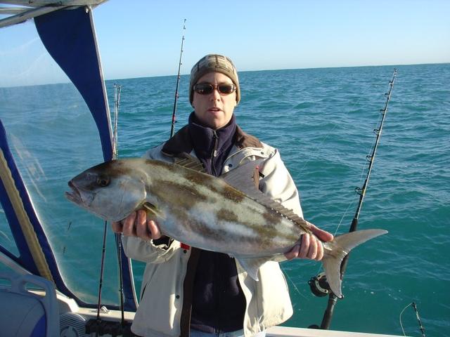 Small Sambo | Fishing - Fishwrecked.com - Fishing WA. Fishing Photos