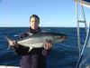 Bolton's Fat Longtail Tuna