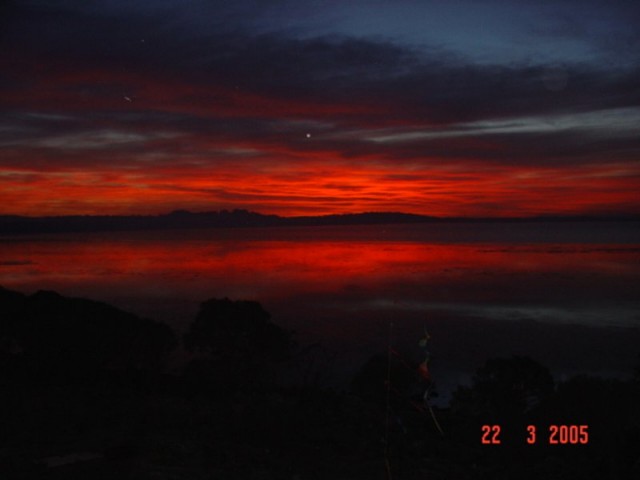 Cobweb Sunrise after Bushfire