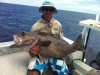 Harro's Bass Grouper