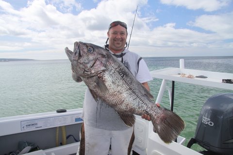THUMPING dhuies in Geographe Bay, PB