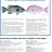 Dhufish and Pink Snapper Research - Frames Required