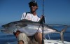 Recovered photos from my dead laptop - New Caledonian Dogtooth on stickbait
