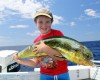 Alex's first dolphinfish