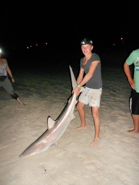 blacktip caught of the beach