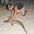 our 4th/9 black tip of the night