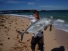 Recovered photos from my dead laptop - Medium Sized Exmouth GT from shore during the day