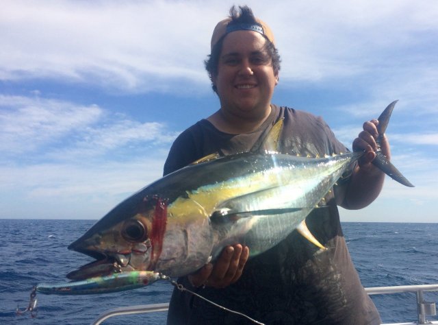 Yellowfin are around