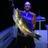 6 pack Goldie caught at the wessel islands.