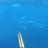 Fads dolphin fish