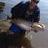 Swanriver