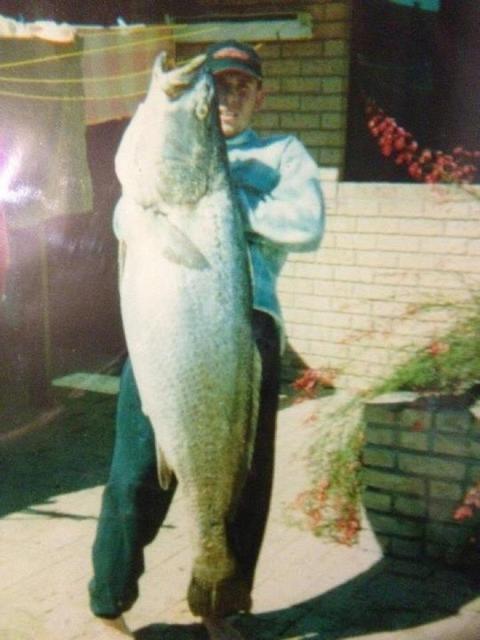 This one is for think Mulloway don't get big in the swanriver