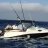 Blackmarlin