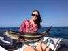 Jessishooked's Cobia