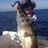 Dunsborough sambo