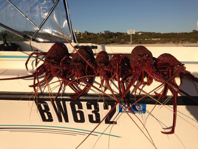 Few winter crays from today